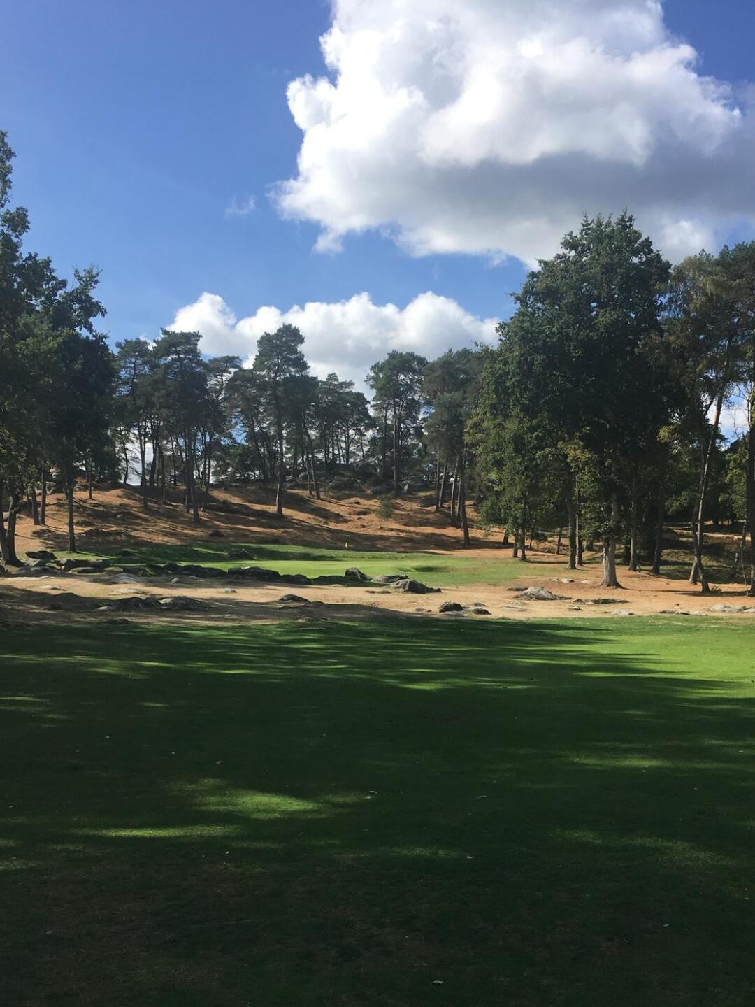 (Photo submitted by WoodyOz on 09/25/2018)