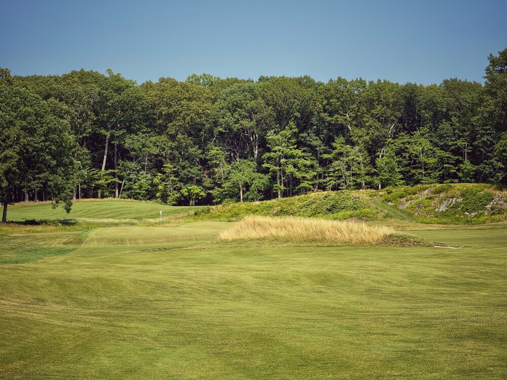 yale-17.JPG