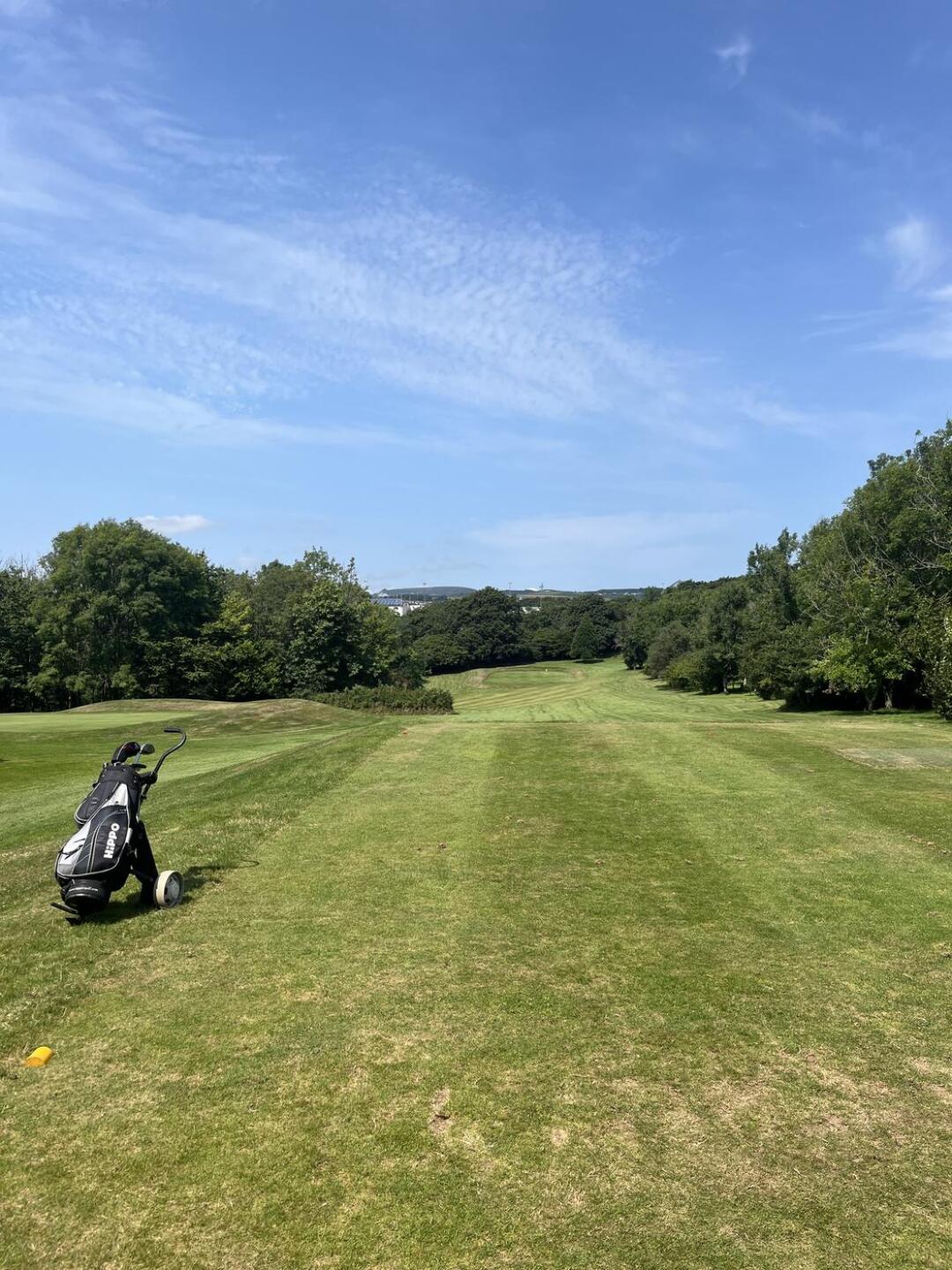 (Photo submitted by MarkSenior on 08/01/2024)