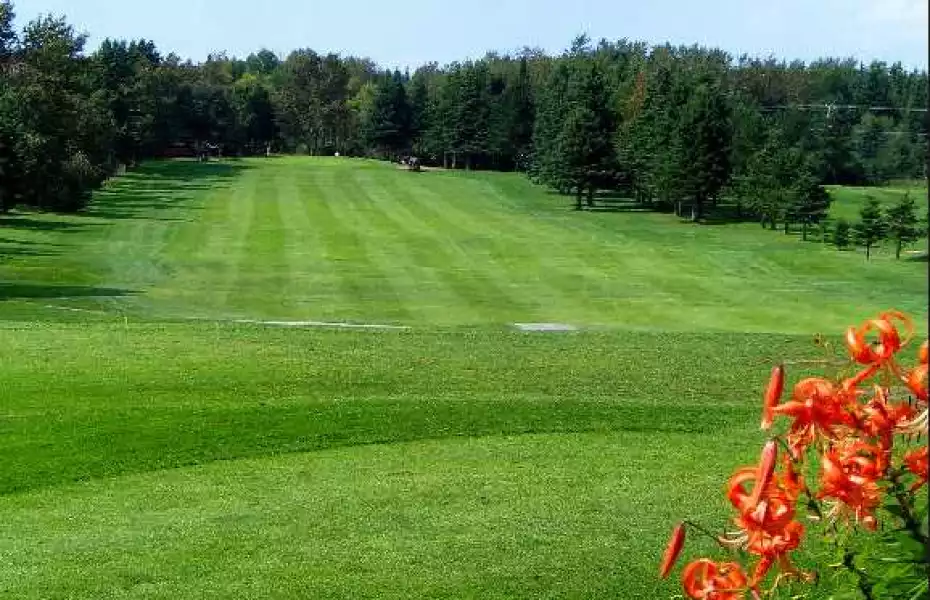 Club de Golf Boule Rock: #2