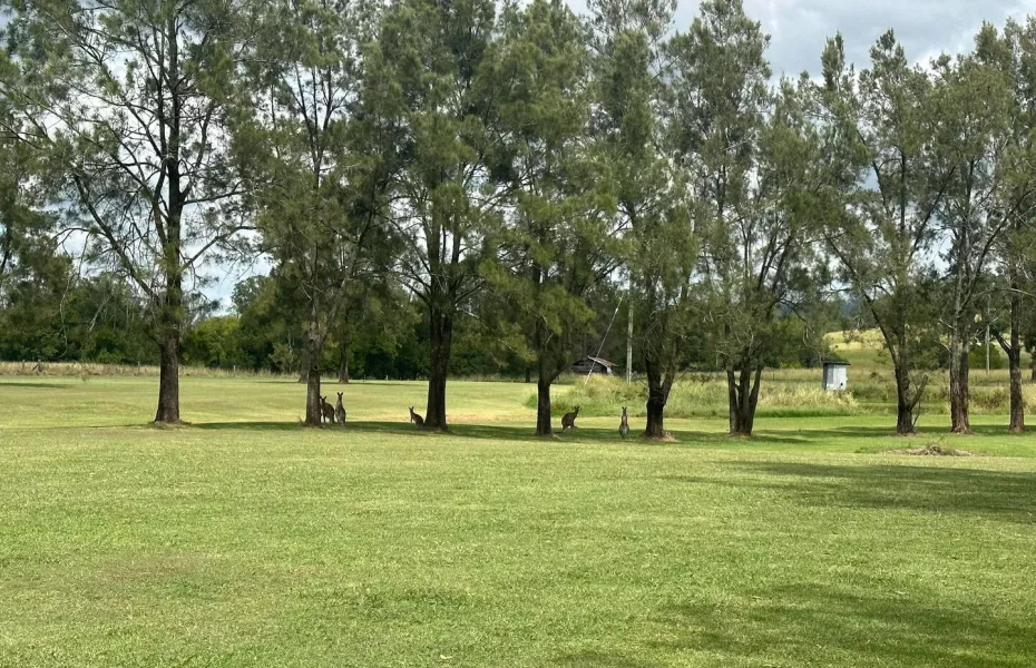 Bonalbo GC