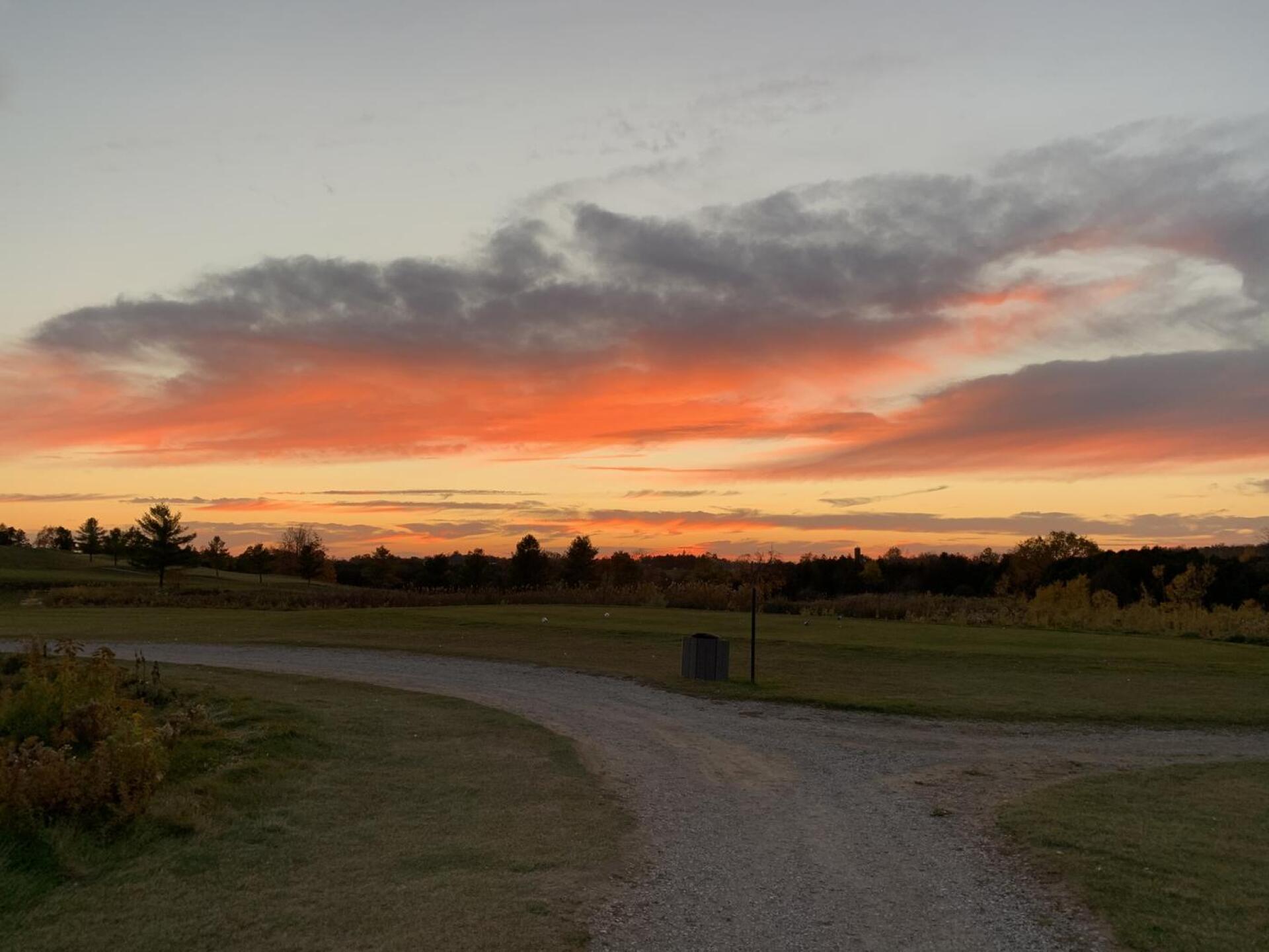 (Photo submitted by u612767197 on 10/31/2022)