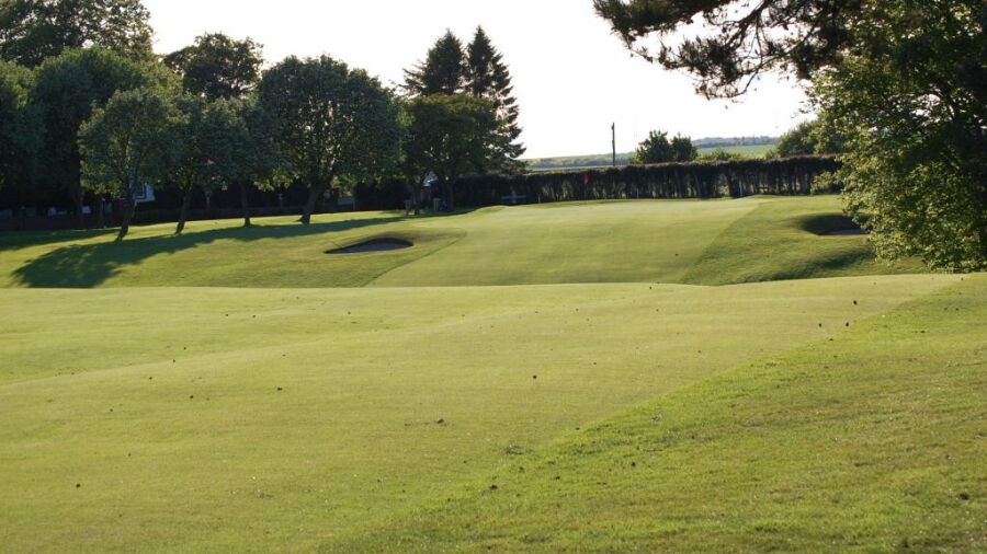 Broomieknowe: #12