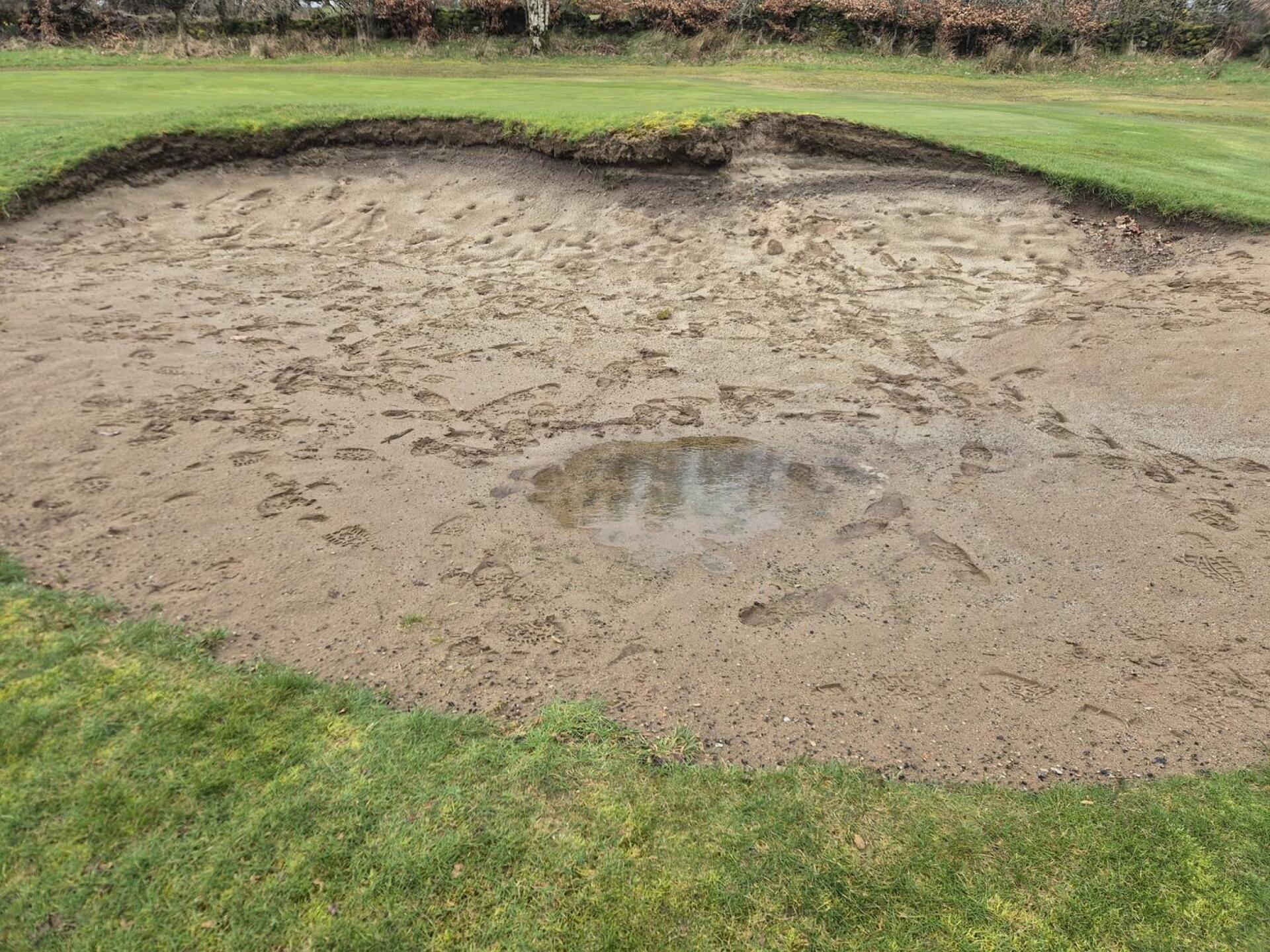 Tee area (Photo submitted by e9WNufNJ2jQ3Zfmal0Ub on 03/17/2026)