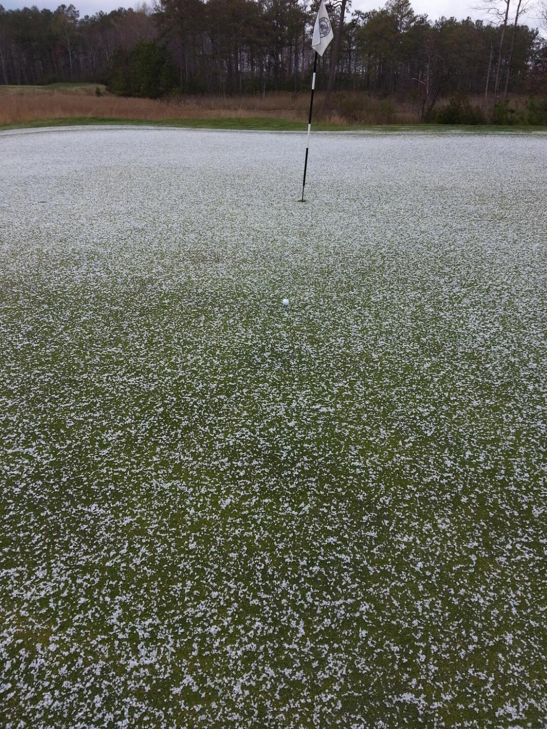 to this in moments (Photo submitted by u000004989554 on 04/11/2016)