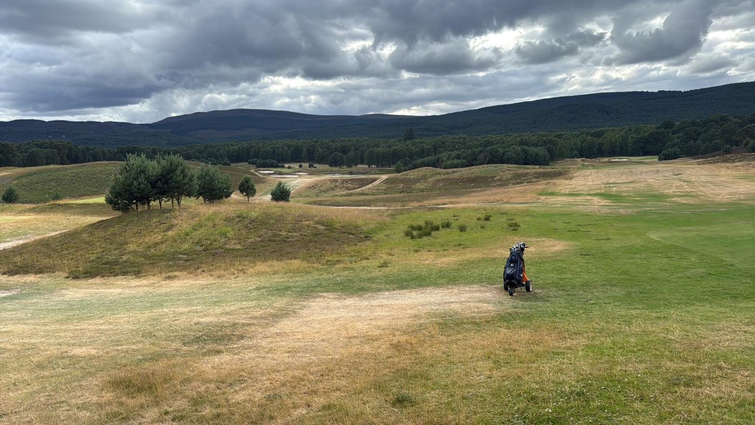 (Photo submitted by Phil6392533 on 07/20/2025)