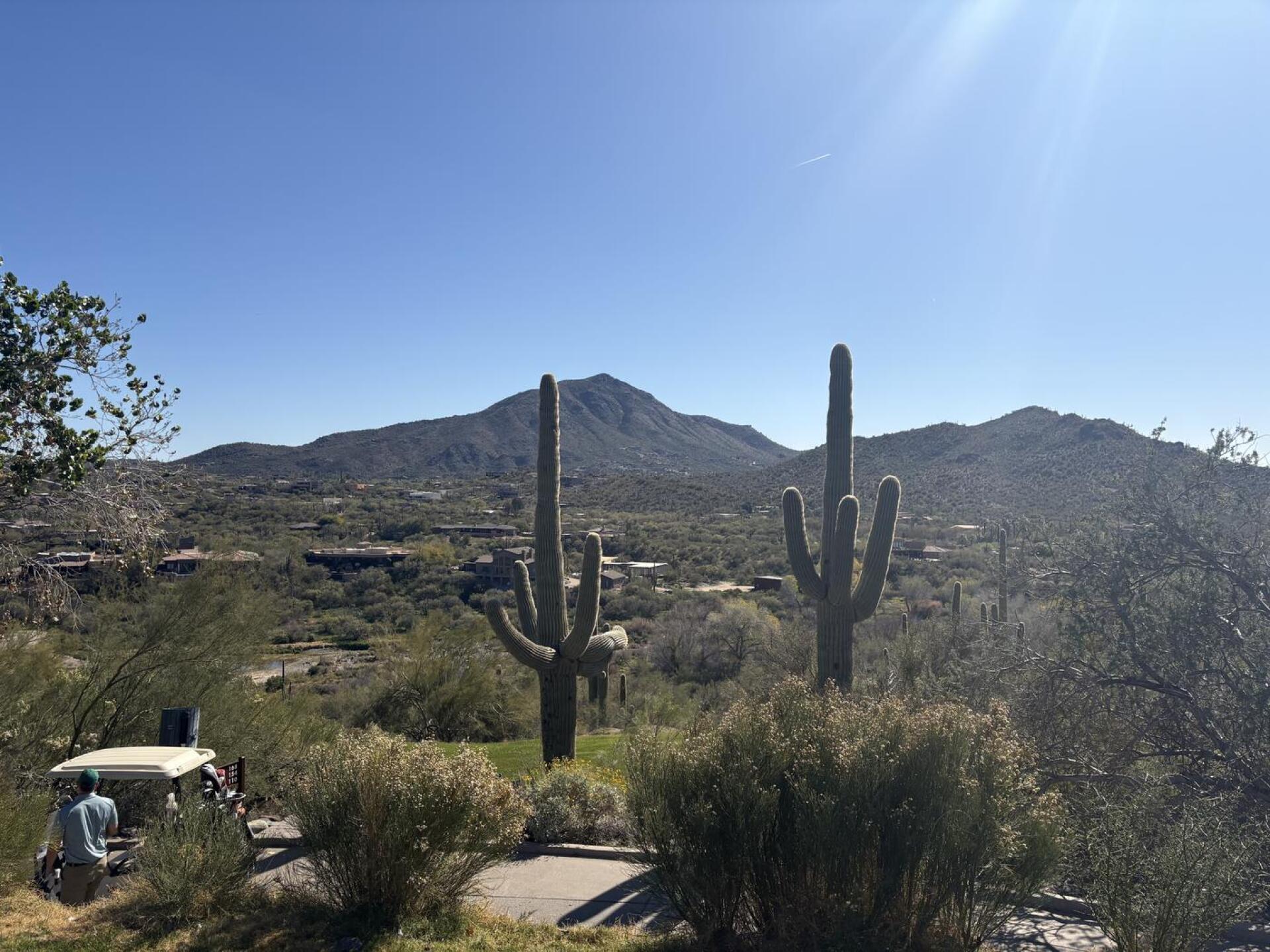 (Photo submitted by kegskicked on 02/07/2026)