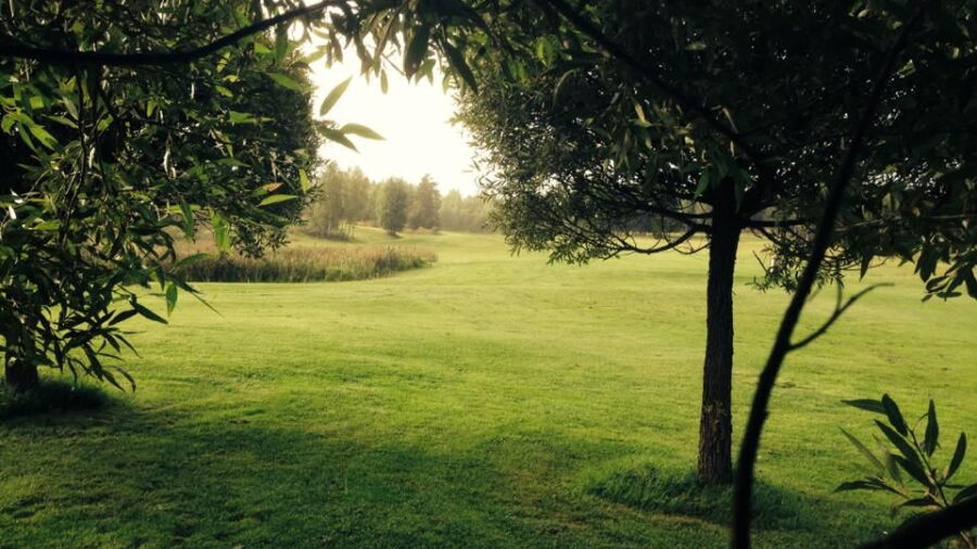 Gronlund GC: #3
