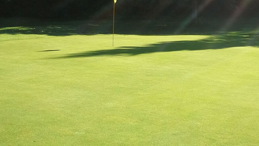 Senjan GC: #7
