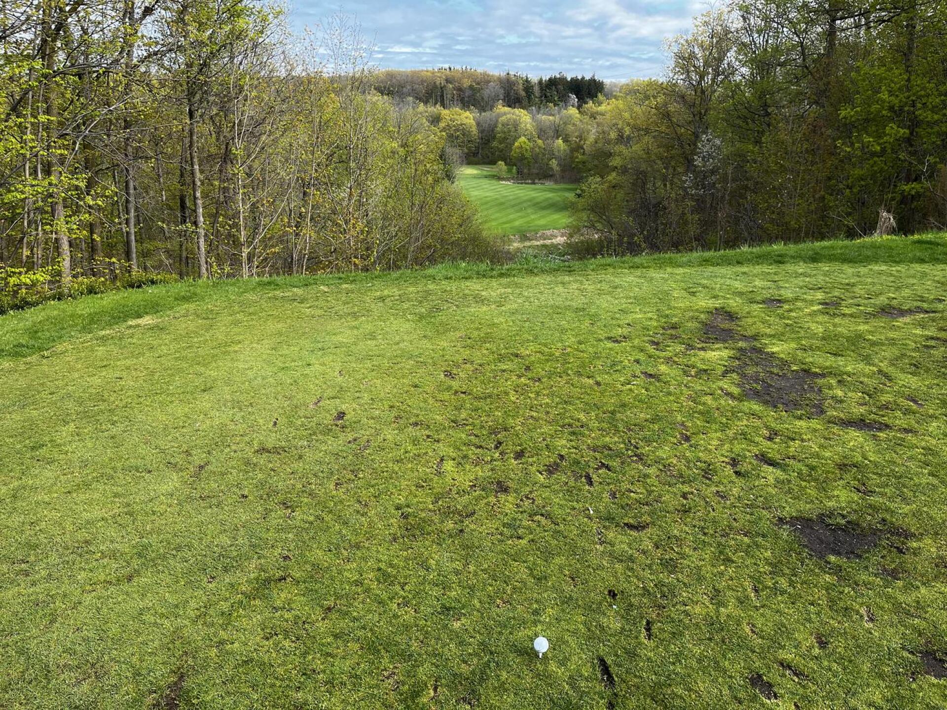 (Photo submitted by JKraakman on 05/08/2023)