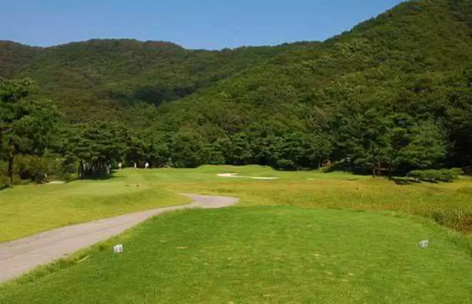 Century 21 CC - Pine: #2