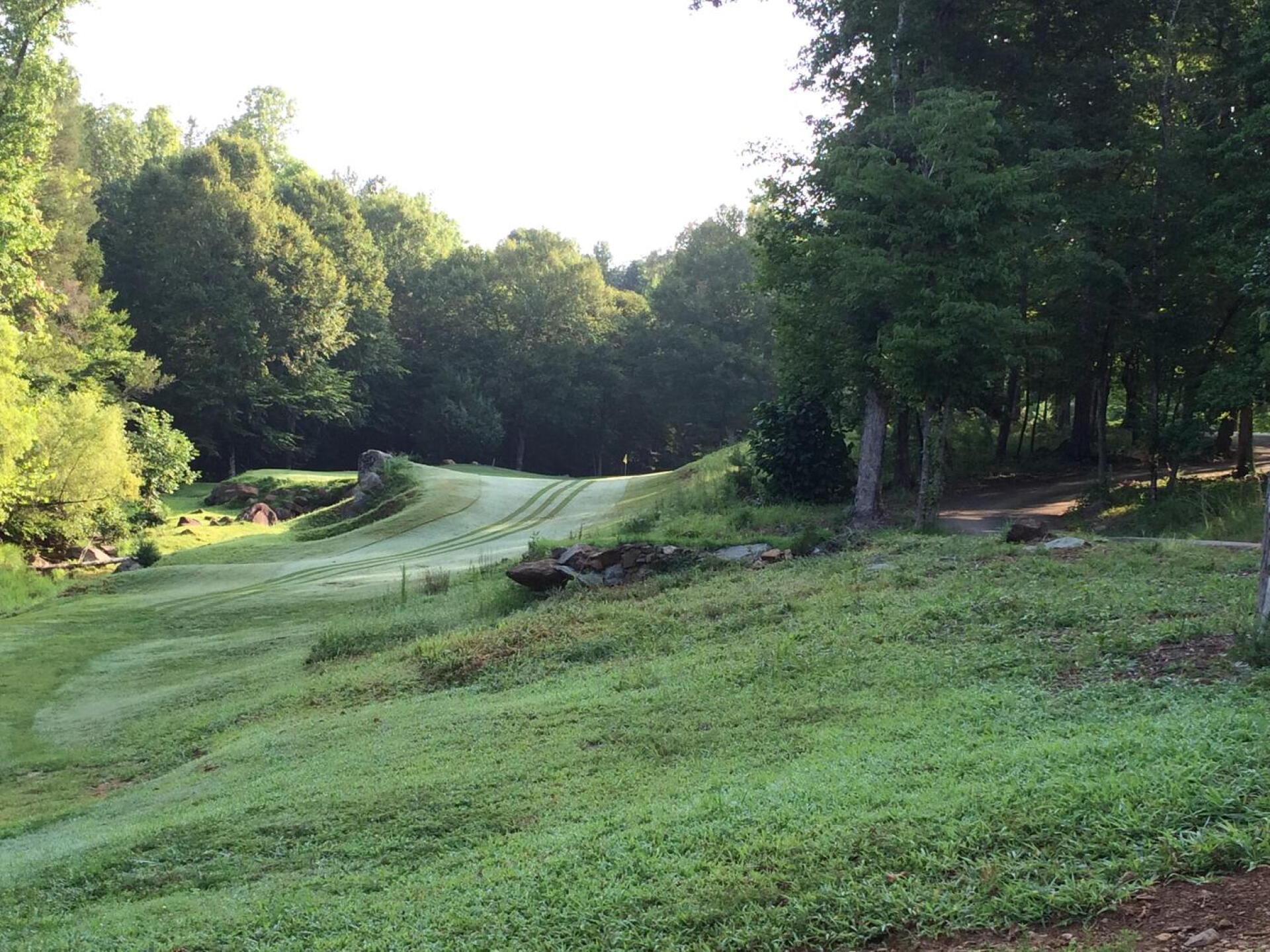 The #6 green, seen from the tee (Photo submitted by MatthewFromDurham on 07/20/2015)