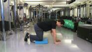 Module 01: Segment 03: Day 2 - Exercise 4 - Bird dogs