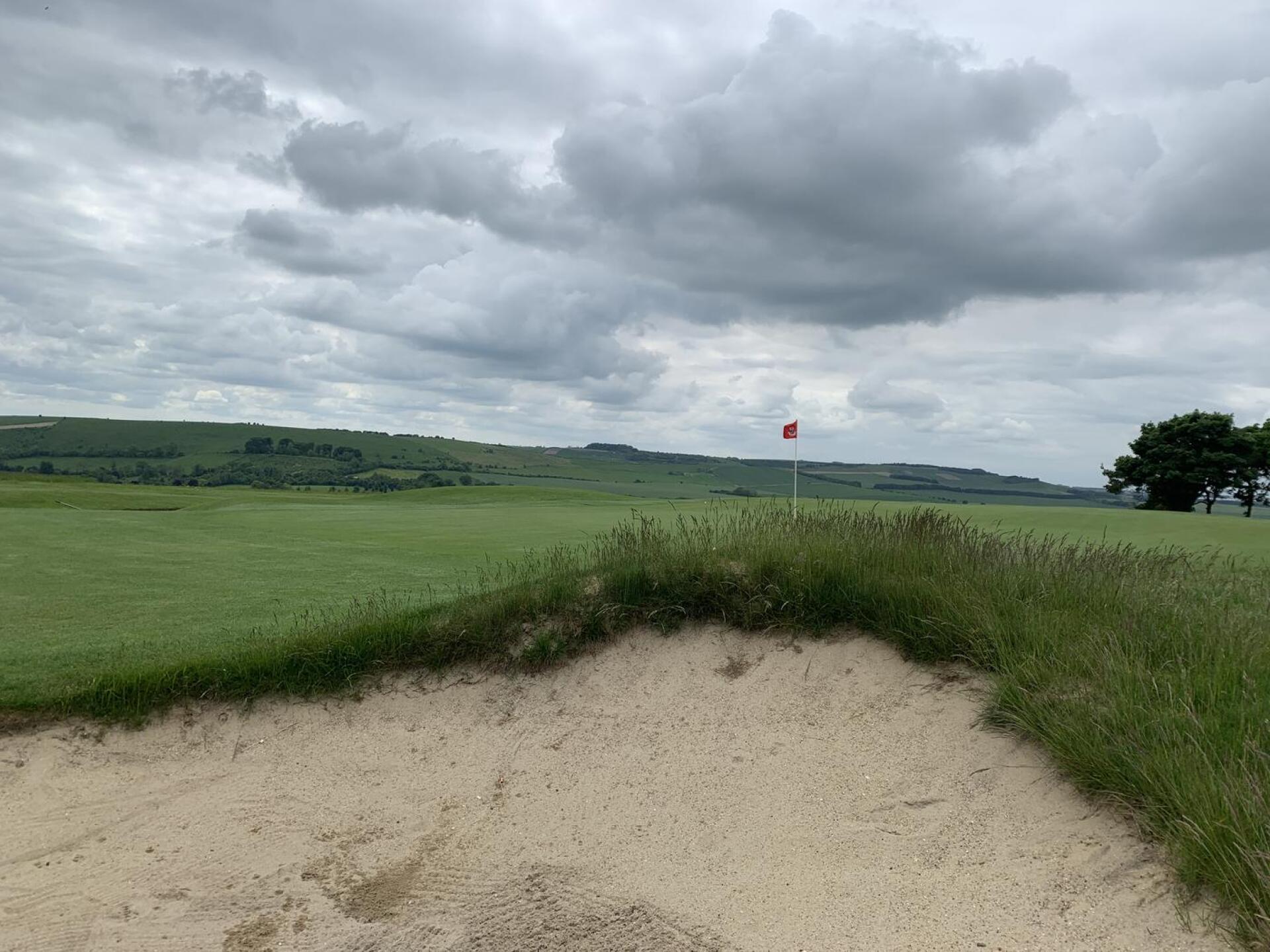 (Photo submitted by u314164103406 on 05/29/2024)