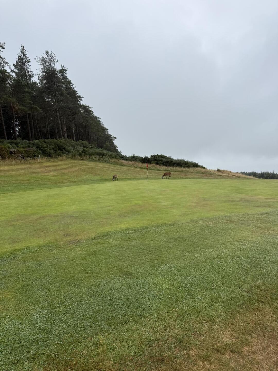 (Photo submitted by Dave737800 on 08/20/2025)