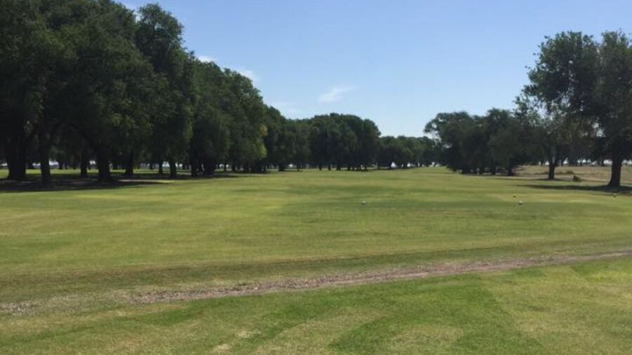 Muleshoe CC
