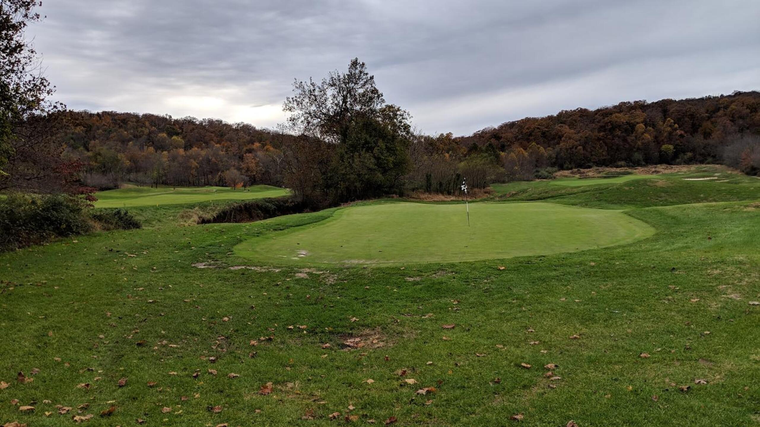 (Photo submitted by Back9Ben on 11/07/2018)