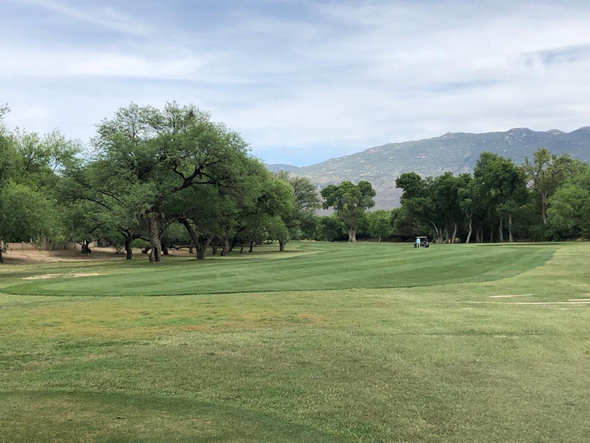 (Photo submitted by alreardon on 05/06/2019)