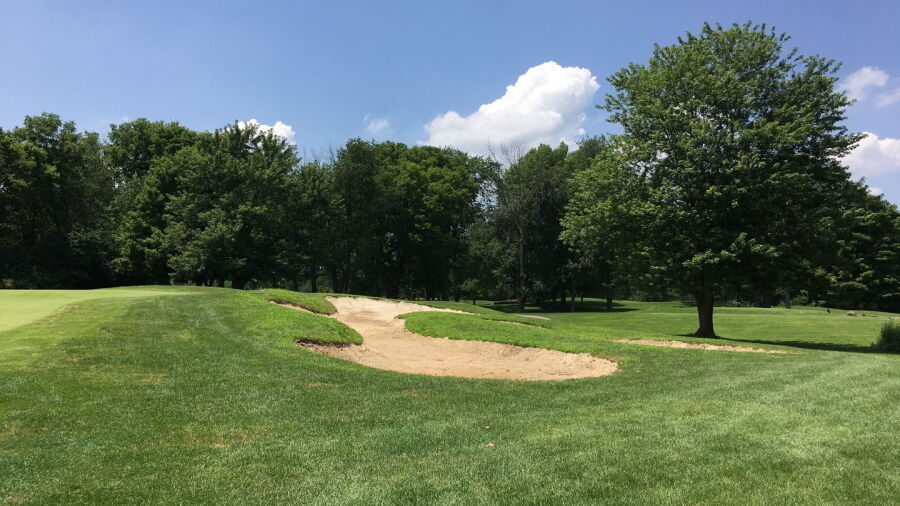 Foxfire GC