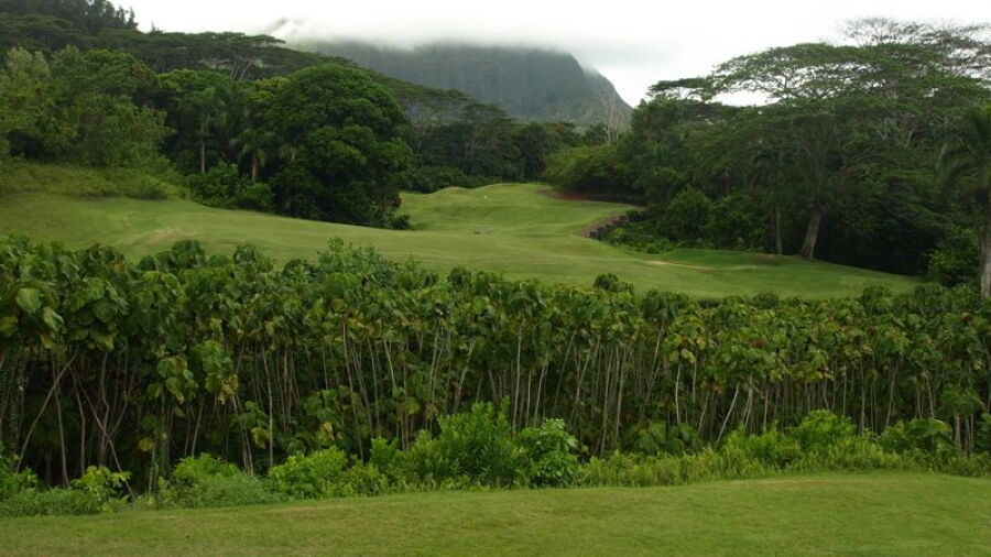 Royal Hawaiian GC: #13
