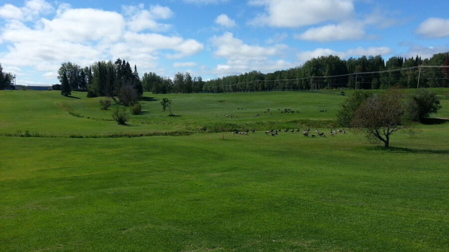 Club de Golf de Quevillon