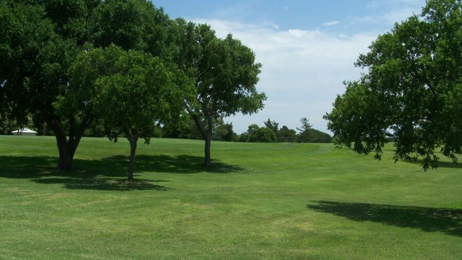 Canadian GC: #3