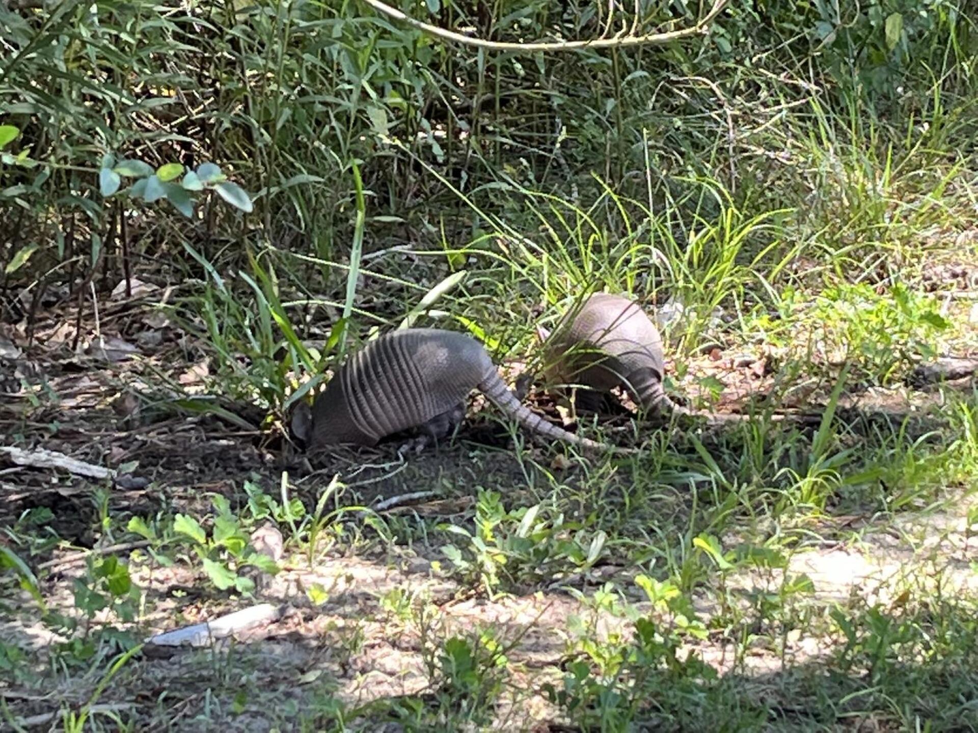 (Photo submitted by AndySirotta on 06/07/2022)