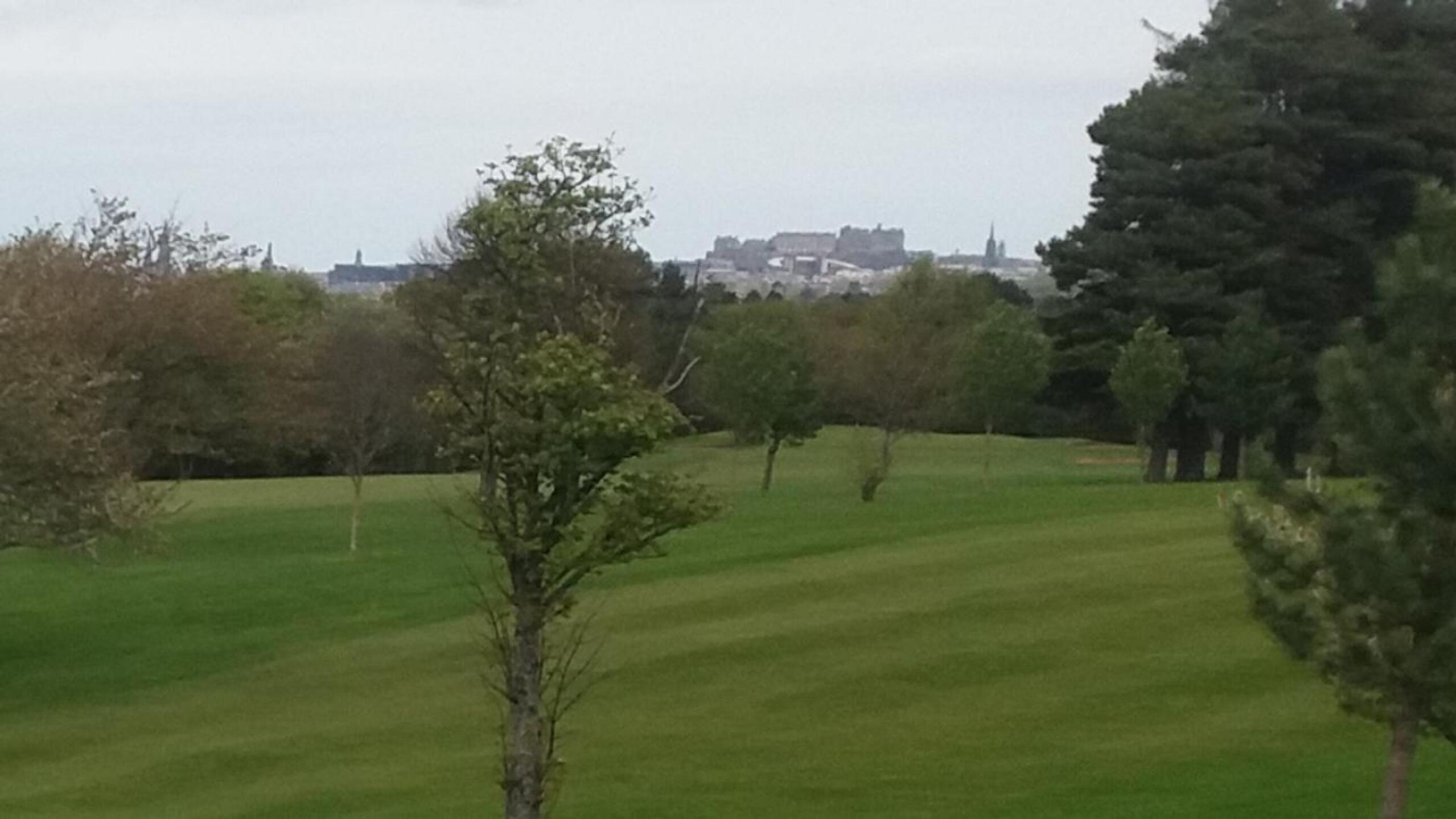 (Photo submitted by qY2Sv78iAWFDZJL7Qvvv on 04/29/2025)