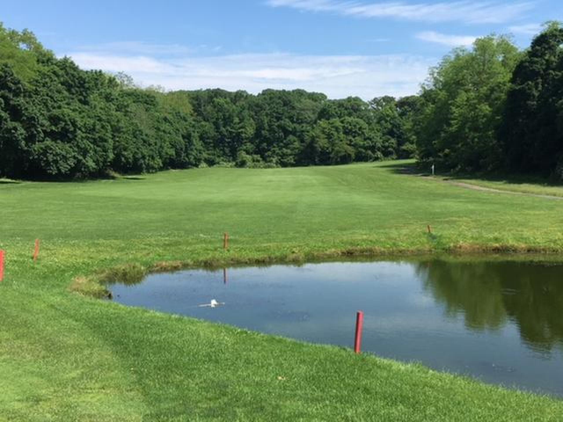 (Photo submitted by LICC on 06/07/2018)