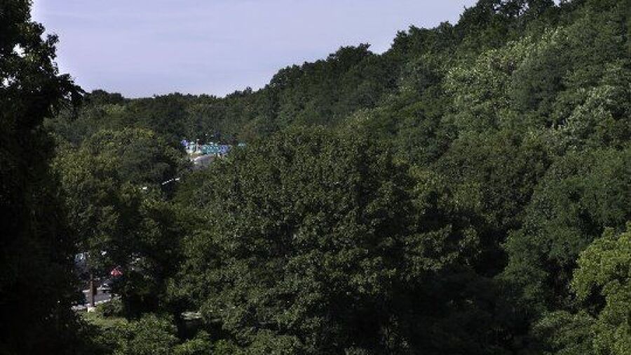Van Cortlandt Park GC: #18