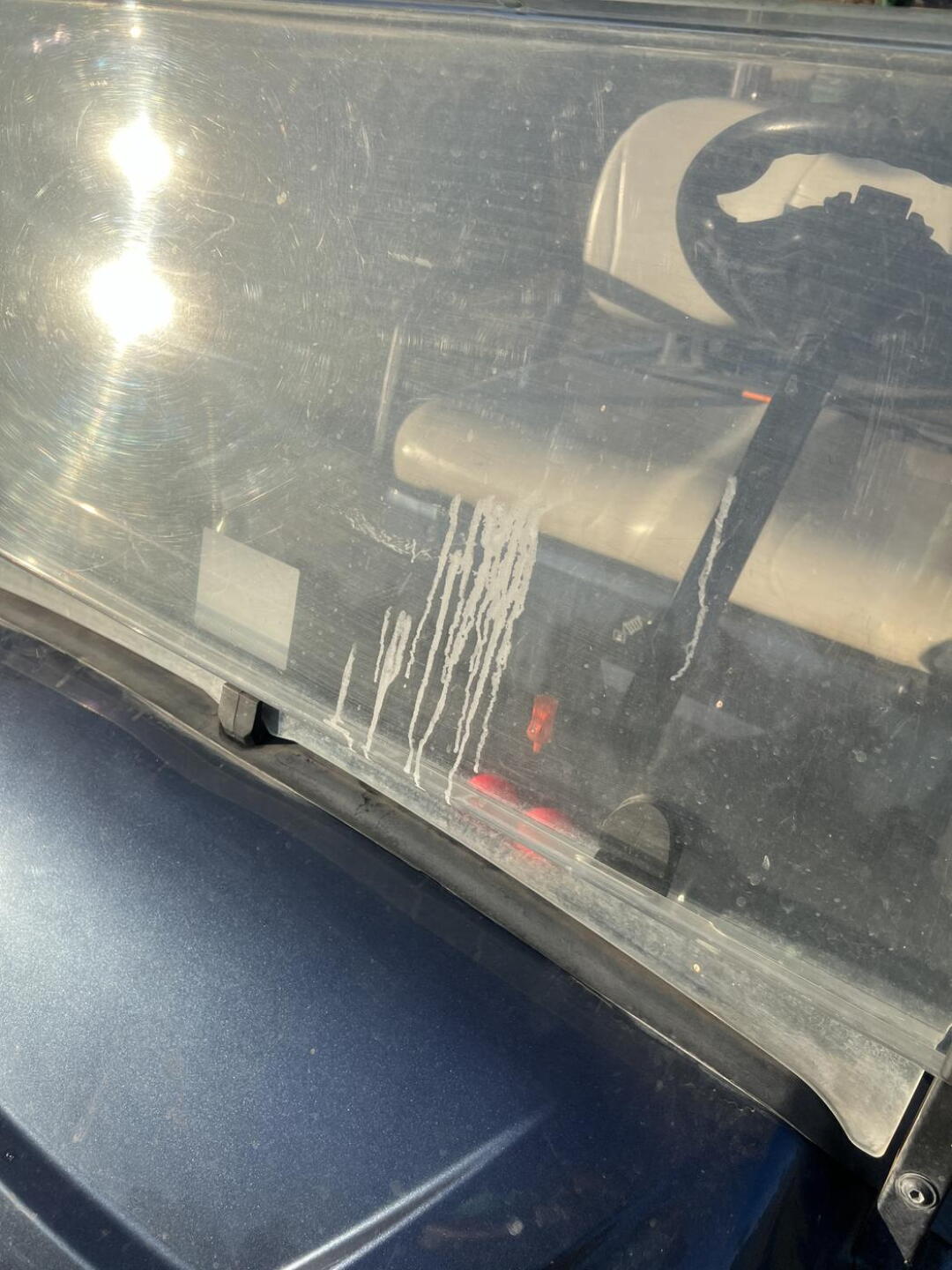 (Photo submitted by bbest1981 on 12/07/2023)