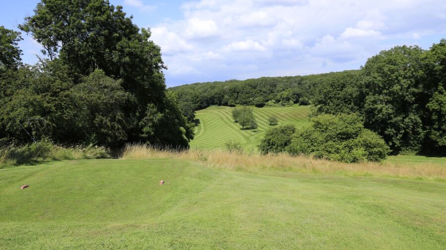 Dinas Powis GC: #11