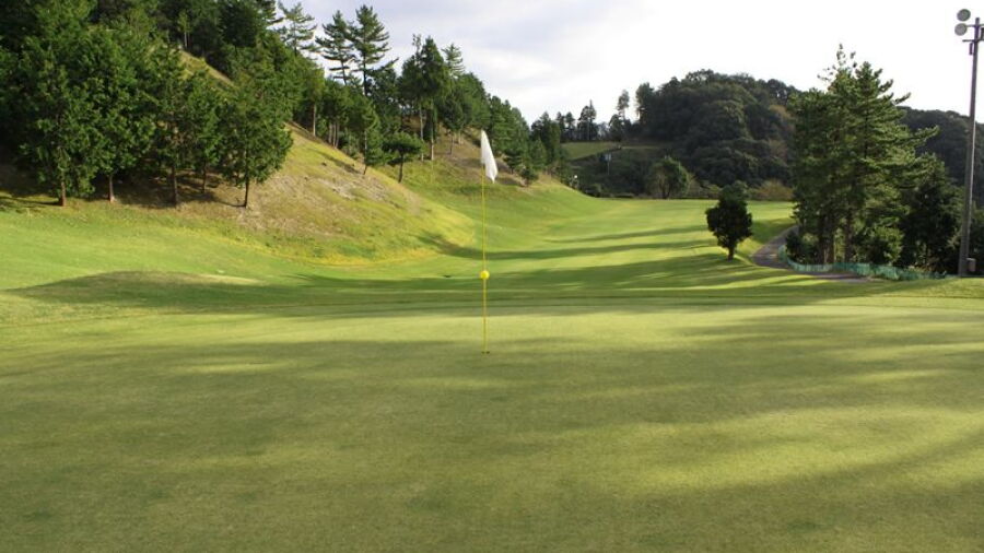 Nihon Diamond GC: #2