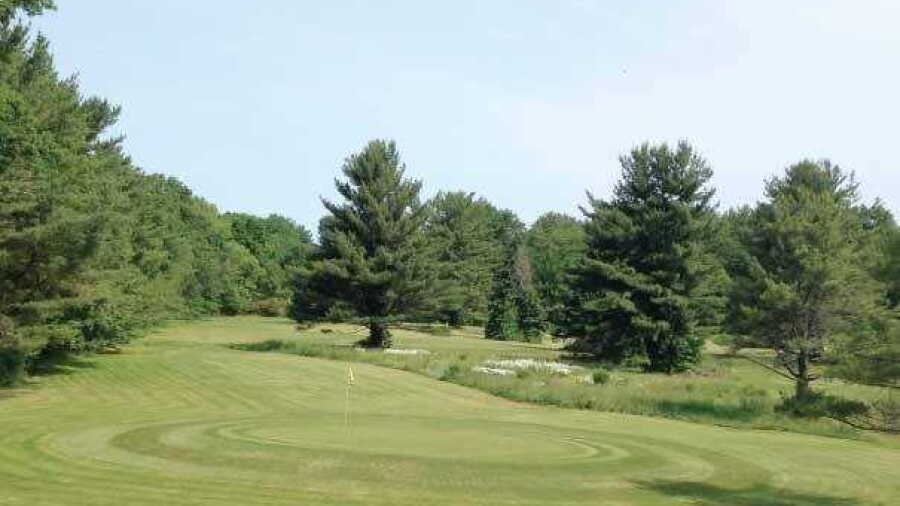 Jade Trace At Mystic Meadows