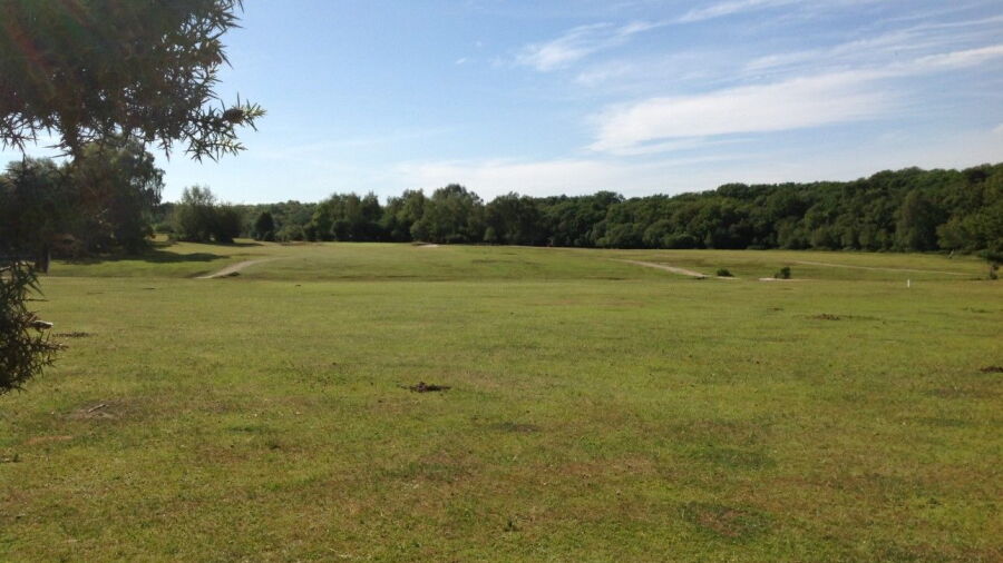 New Forest GC: #15
