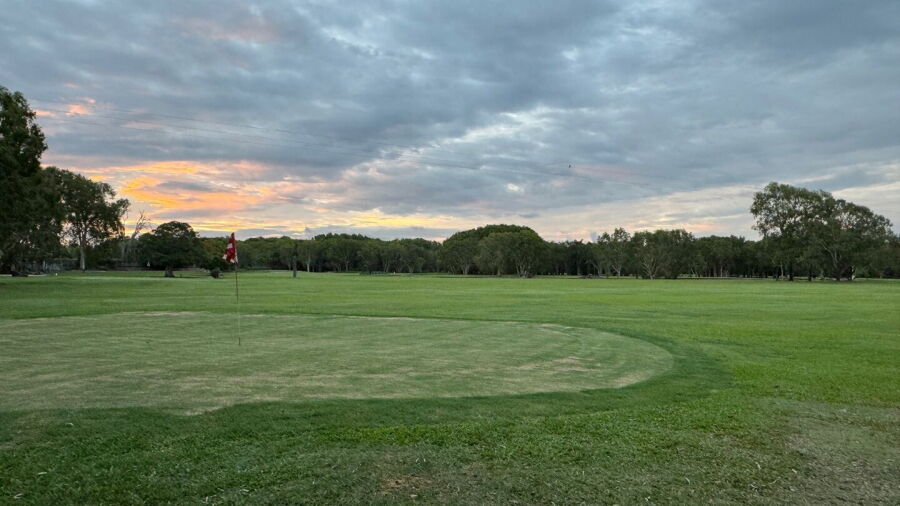 Melaleuca GC