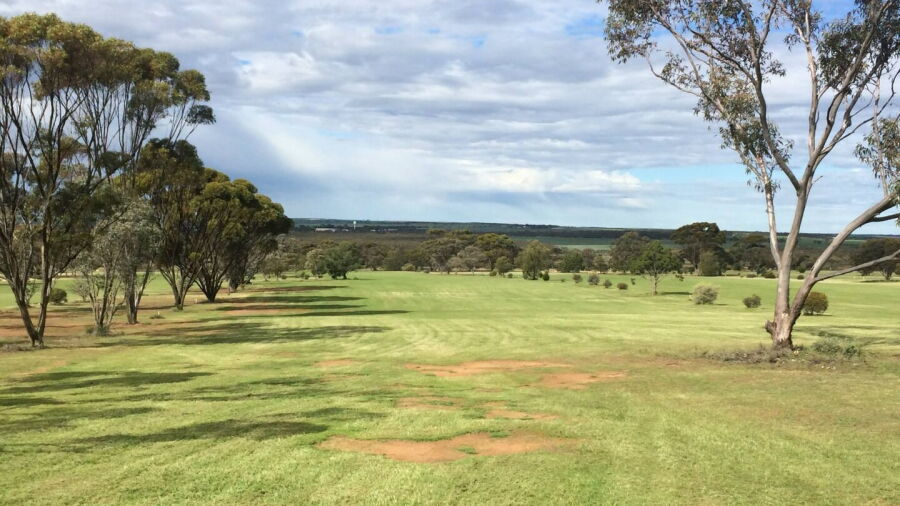 Kimba GC: #12