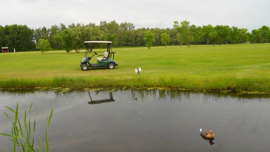 Vilna GC: #8