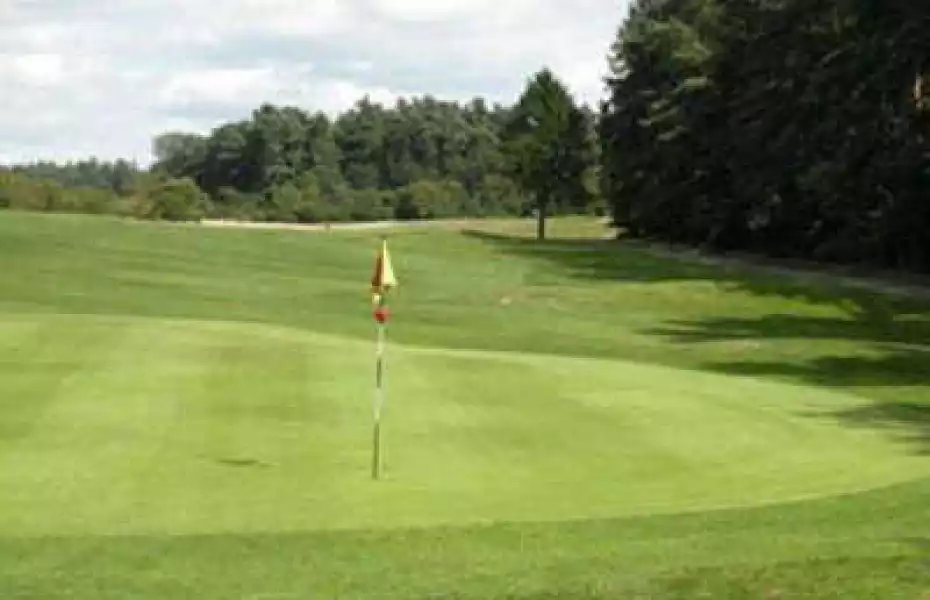 Swaffham GC: #11