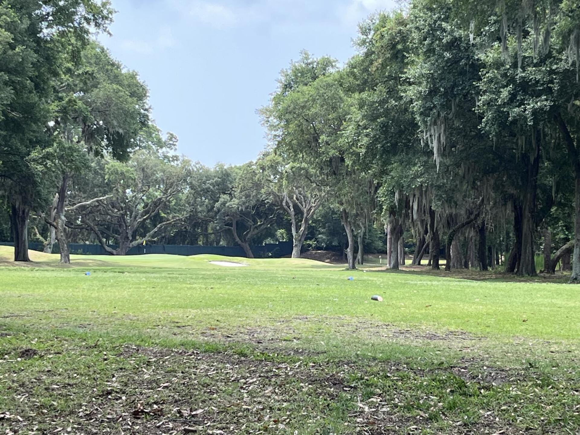 Great par 3 (Photo submitted by Petvetkm303 on 06/09/2023)