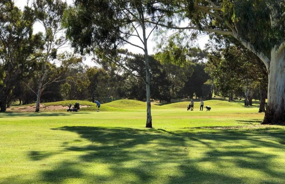 Murray Bridge GC