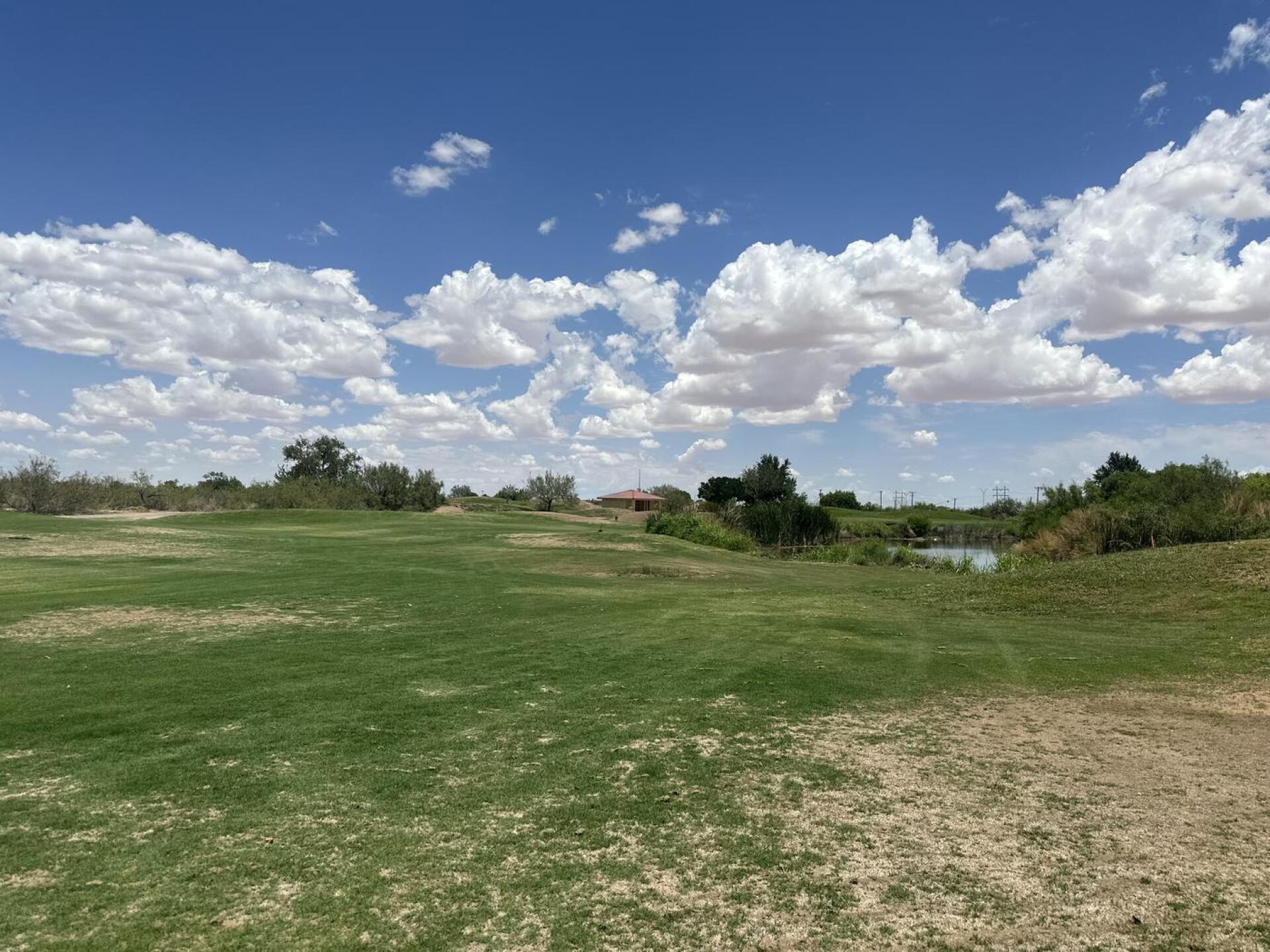 Fairways need upgrade and maintenance (Photo submitted by u314163674253 on 07/01/2025)