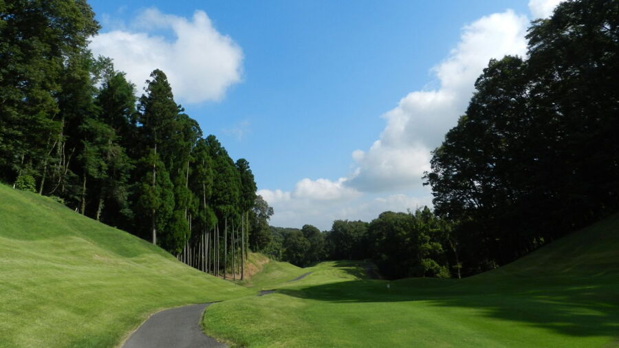 Thomson CC