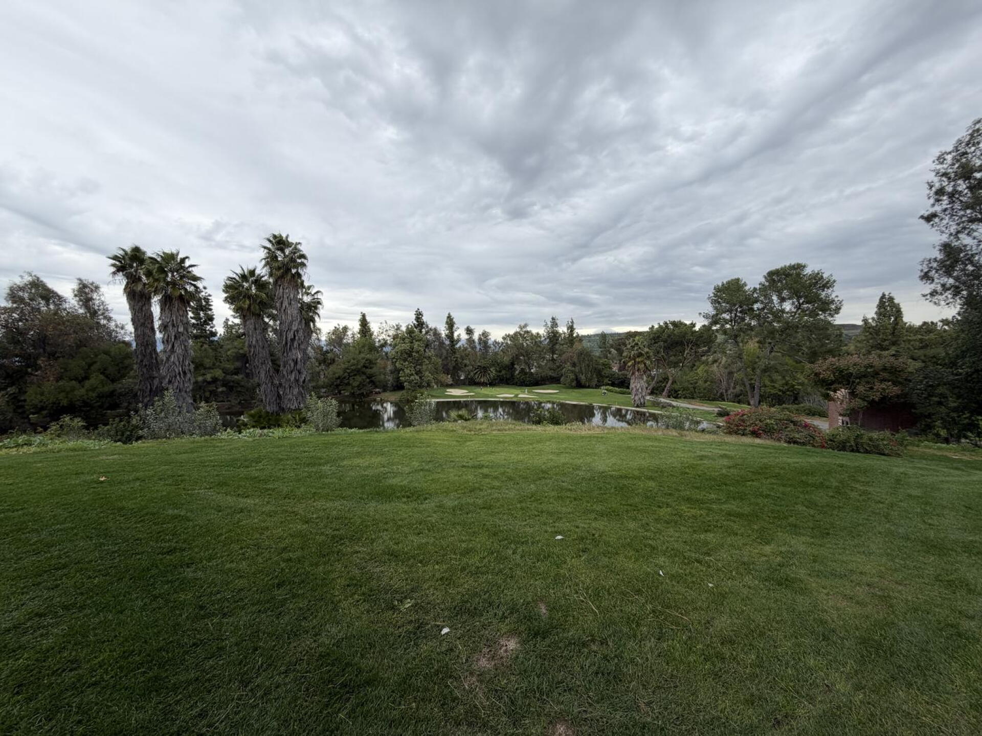 (Photo submitted by alexisonfire on 12/30/2025)