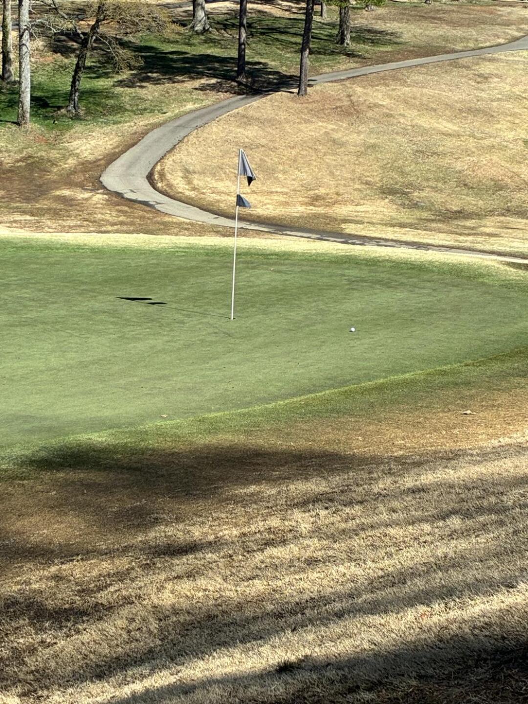 (Photo submitted by cawbvZHI3YWWrL5Q2lLD on 03/13/2026)