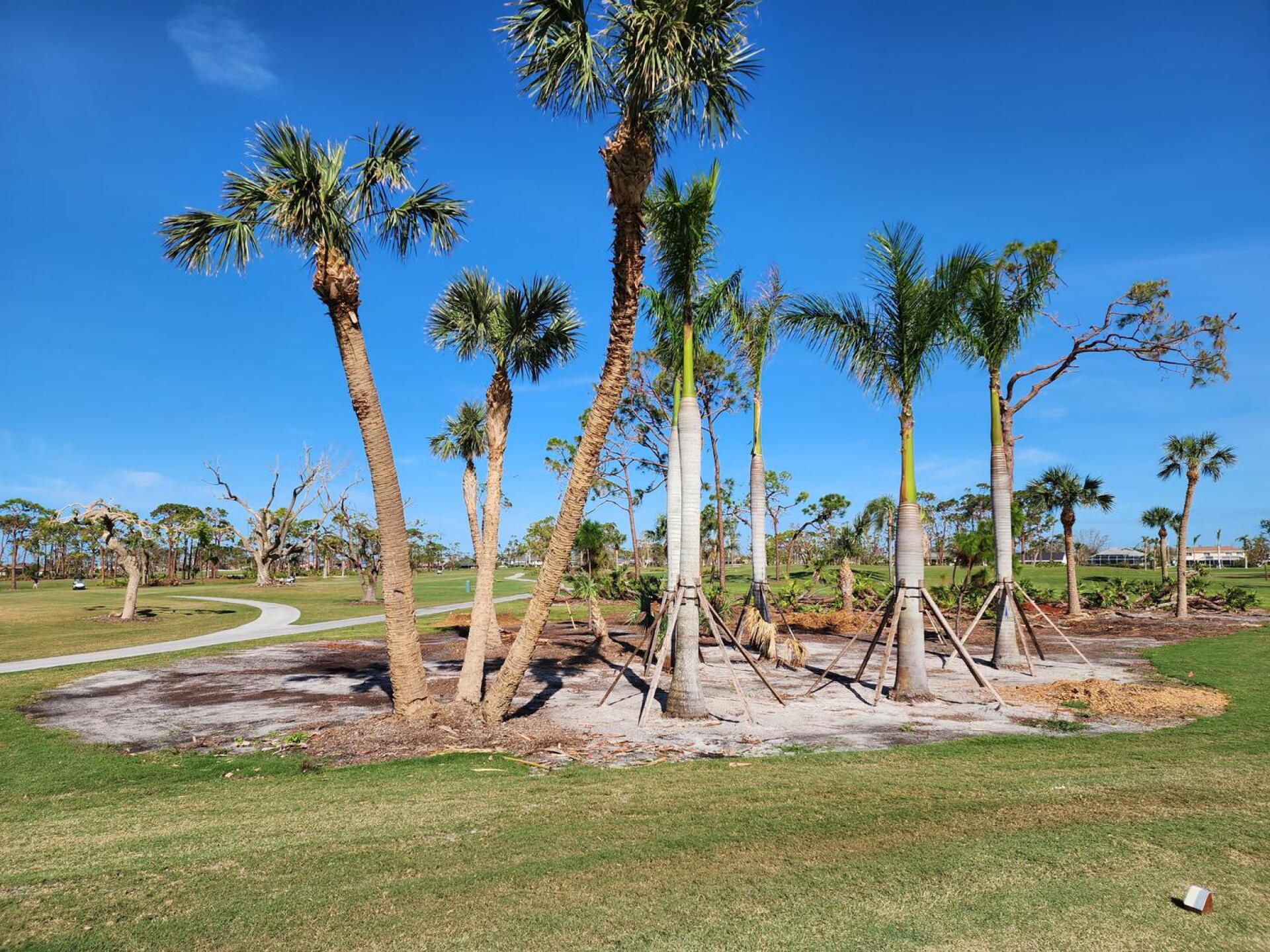 Scenery around the 1st tee (Photo submitted by rclark86 on 10/25/2022)