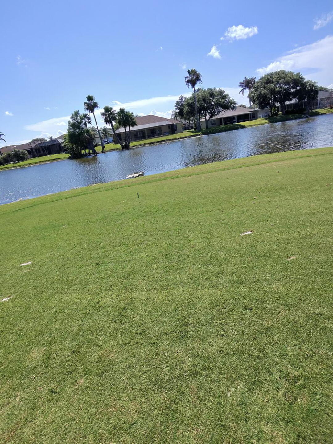 (Photo submitted by u684660819 on 06/14/2026)