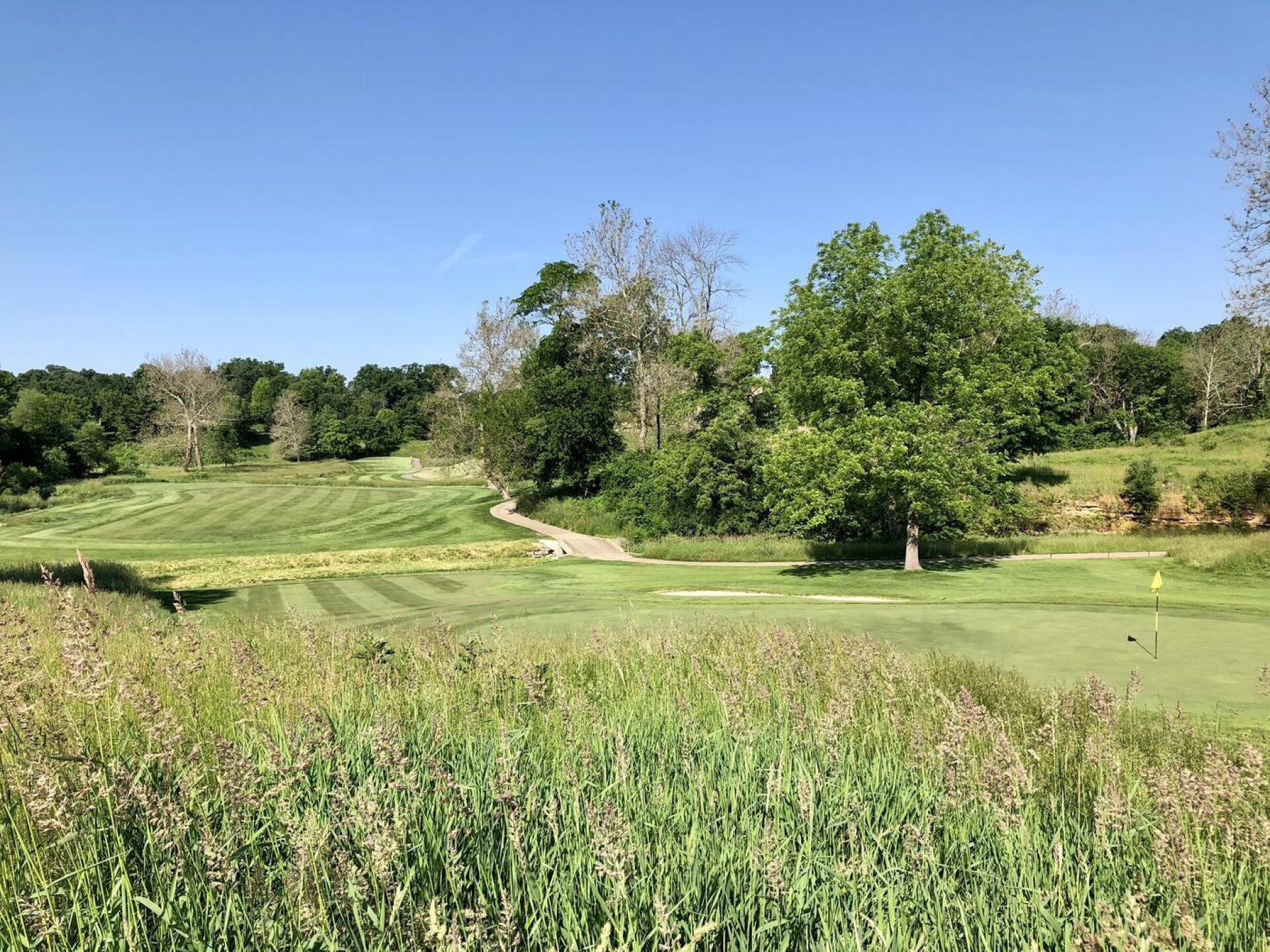 Short par-4 11th hole (Photo submitted by BrandonWebb on 06/04/2021)