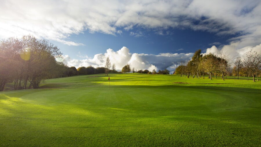 Sandford Springs GC - Wood: #11