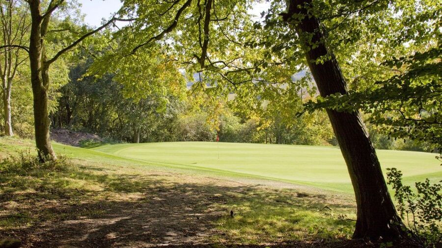 6th green at Chartridge Park 